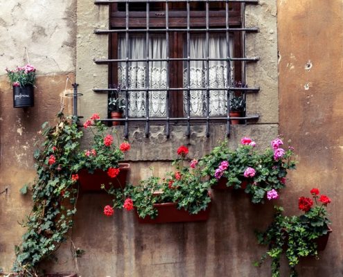 arezzo